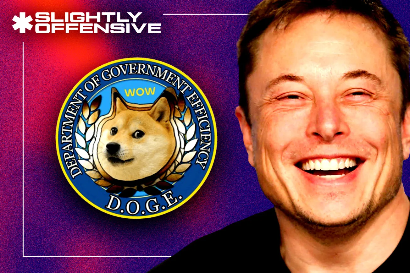 elon musk doge, department of government efficacy 