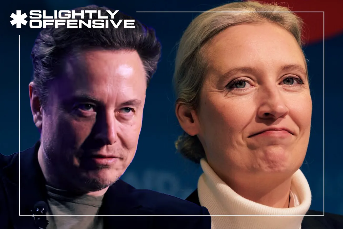 Elon Musk and Alice Weidel afd interview